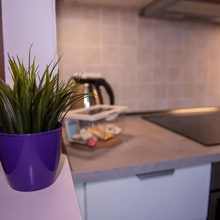 Апартаменты Delizioso In Casa Mima Пиза